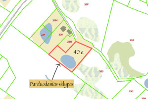 Parduodamas  sklypas Rusakalnio g., Vievininkų k., Elektrėnų sav., 40 a ploto 22
