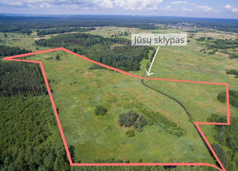 Parduodamas  sklypas Ąžuolinės k., Vilniaus r. sav., 997.5 a ploto