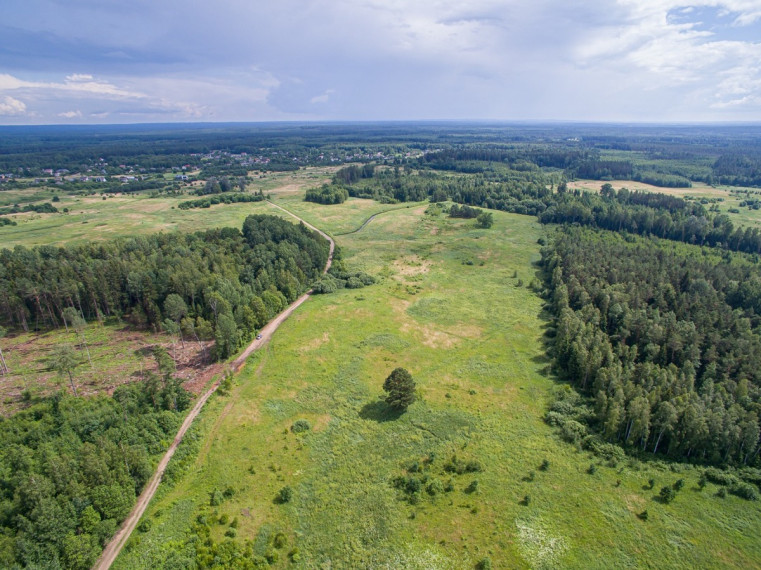 Parduodamas sklypas Ąžuolinės k., Vilniaus r. sav., 997.5 a ploto 6