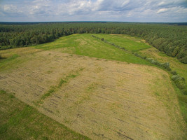Parduodamas  sklypas Senojo Tarpupio k., Trakų r. sav., 411.79 a ploto 5