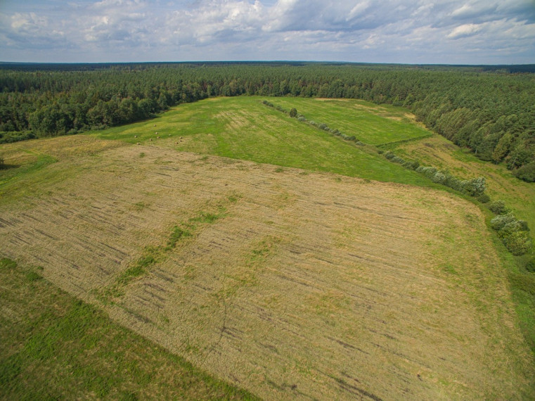 Parduodamas sklypas Senojo Tarpupio k., Trakų r. sav., 411.79 a ploto 5