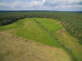 Parduodamas  sklypas Senojo Tarpupio k., Trakų r. sav., 411.79 a ploto 6