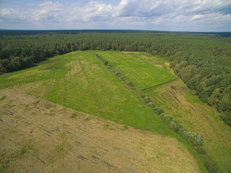 Parduodamas sklypas Senojo Tarpupio k., Trakų r. sav., 411.79 a ploto 6