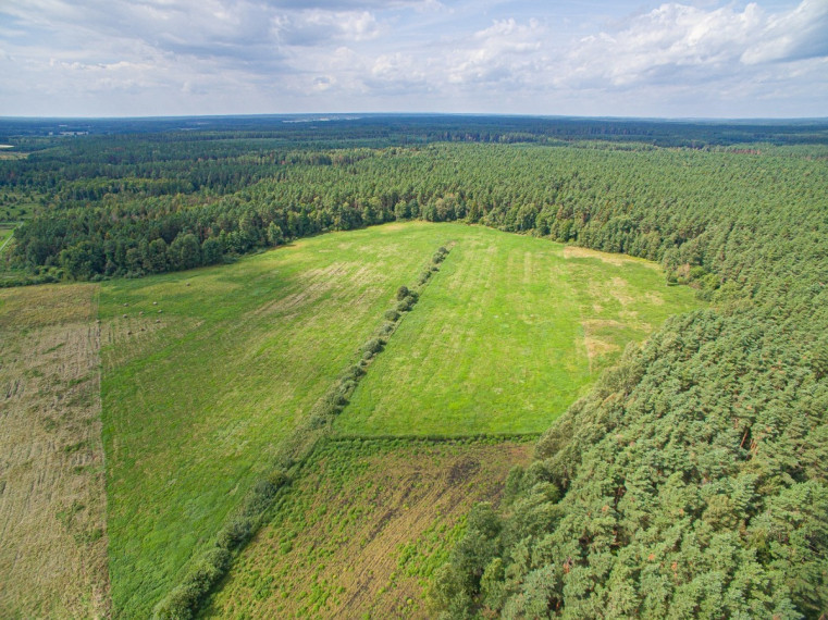 Parduodamas  sklypas Senojo Tarpupio k., Trakų r. sav., 411.79 a ploto 8