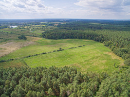 Parduodamas  sklypas Senojo Tarpupio k., Trakų r. sav., 411.79 a ploto 10