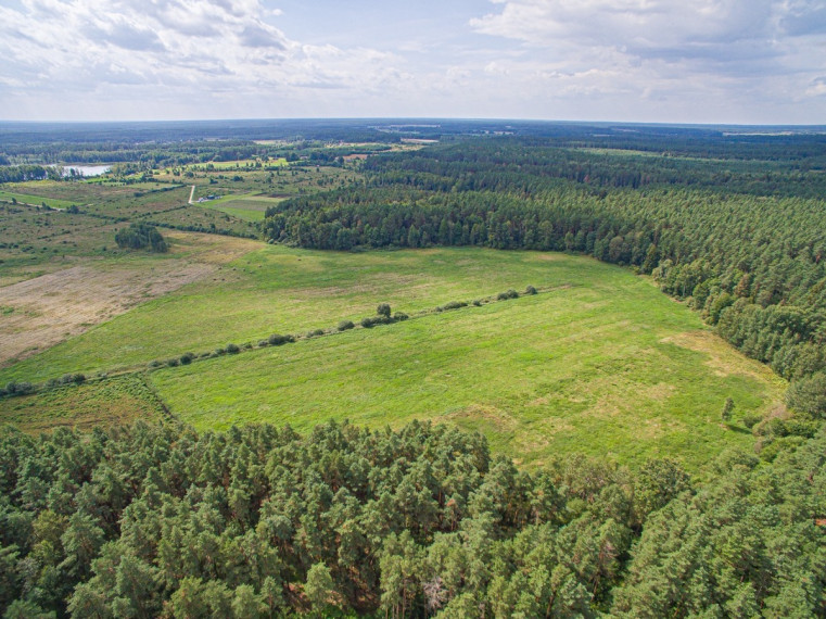 Parduodamas  sklypas Senojo Tarpupio k., Trakų r. sav., 411.79 a ploto 10