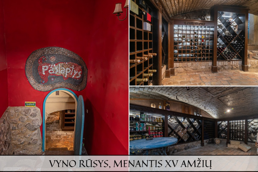 Parduodamas namas Pakalnės g., Bezdonių mstl., Vilniaus r. sav., 710.01 m2 ploto, 2 aukštai 7