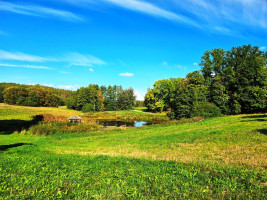 Parduodamas namas Šeibokiškio k., Utenos r. sav., 72 m² ploto 3 kambariai 11