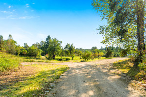 Parduodamas namas Sužionių k., Vilniaus r. sav., 118.8 m2 ploto, 2 aukštai 9