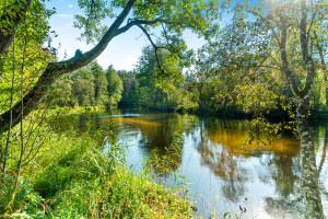 Parduodamas namas Sužionių k., Vilniaus r. sav., 118.8 m2 ploto, 2 aukštai 23
