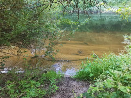 Parduodamas sklypas Pakalnės g., Kvietinių k., Klaipėdos r. sav., 426 a ploto 2
