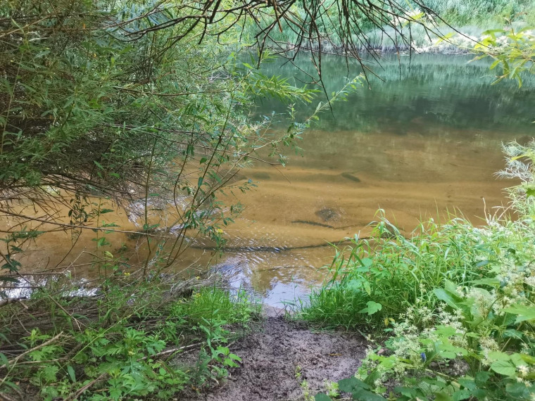 Parduodamas sklypas Pakalnės g., Kvietinių k., Klaipėdos r. sav., 426 a ploto 2