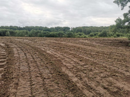 Parduodamas sklypas Pakalnės g., Kvietinių k., Klaipėdos r. sav., 426 a ploto 13