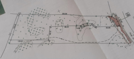 Parduodamas sklypas Pakalnės g., Kvietinių k., Klaipėdos r. sav., 426 a ploto 15
