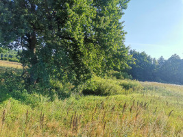 Parduodamas sklypas Pakalnės g., Kvietinių k., Klaipėdos r. sav., 426 a ploto 4