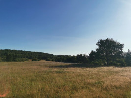 Parduodamas sklypas Pakalnės g., Kvietinių k., Klaipėdos r. sav., 426 a ploto 5
