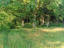 Parduodamas sklypas Pakalnės g., Kvietinių k., Klaipėdos r. sav., 426 a ploto 7