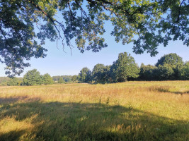 Parduodamas sklypas Pakalnės g., Kvietinių k., Klaipėdos r. sav., 426 a ploto 8