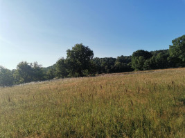 Parduodamas sklypas Pakalnės g., Kvietinių k., Klaipėdos r. sav., 426 a ploto 9