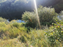 Parduodamas sklypas Pakalnės g., Kvietinių k., Klaipėdos r. sav., 426 a ploto 10