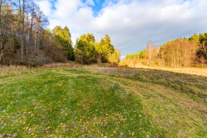 Parduodamas namas Pakojo, Žuklijų k., Trakų r. sav., 150 m2 ploto, 2 aukštai 16