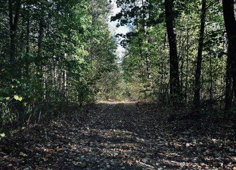 Parduodamas namas Viltrakių k., Šakių r. sav., 49 m2 ploto