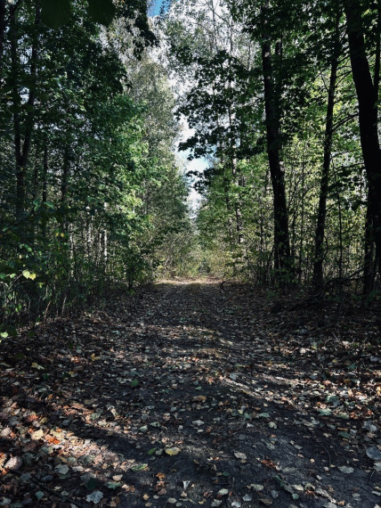 Parduodamas namas Viltrakių k., Šakių r. sav., 49 m2 ploto 1