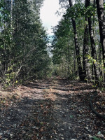 Parduodamas namas Viltrakių k., Šakių r. sav., 49 m2 ploto 2