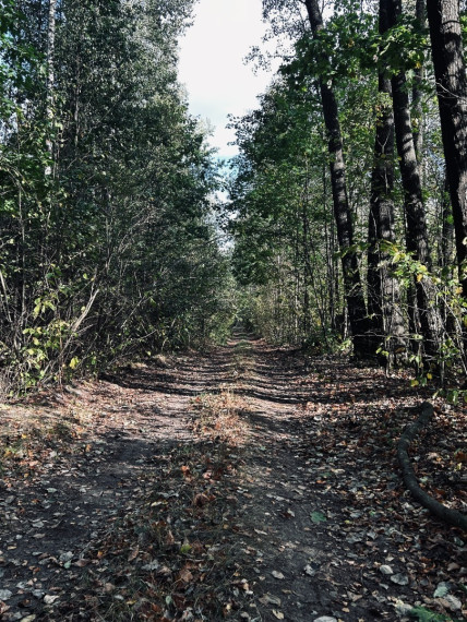 Parduodamas namas Viltrakių k., Šakių r. sav., 49 m2 ploto 2