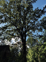 Parduodamas namas Viltrakių k., Šakių r. sav., 49 m2 ploto 4