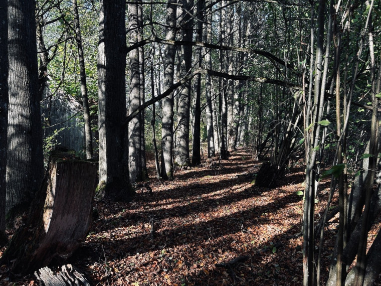 Parduodamas namas Viltrakių k., Šakių r. sav., 49 m2 ploto 5