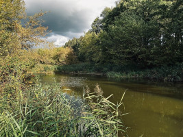 Parduodamas namas Viltrakių k., Šakių r. sav., 49 m2 ploto 6