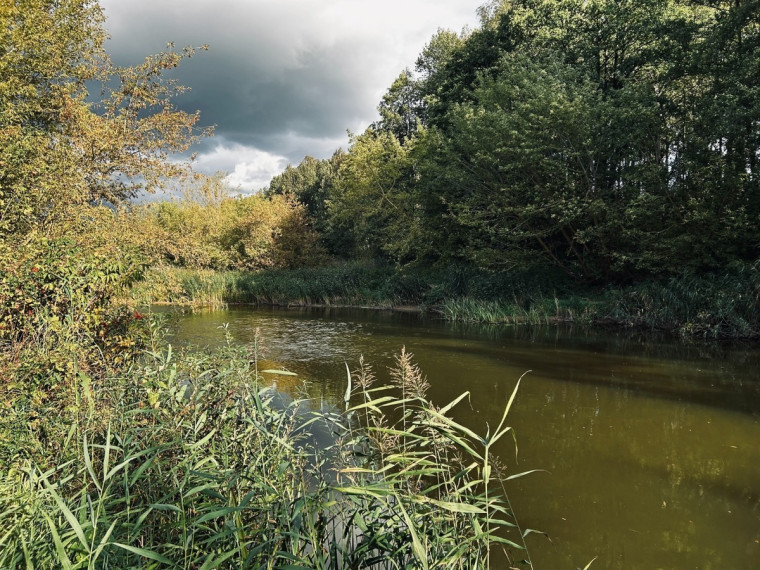 Parduodamas namas Viltrakių k., Šakių r. sav., 49 m2 ploto 6