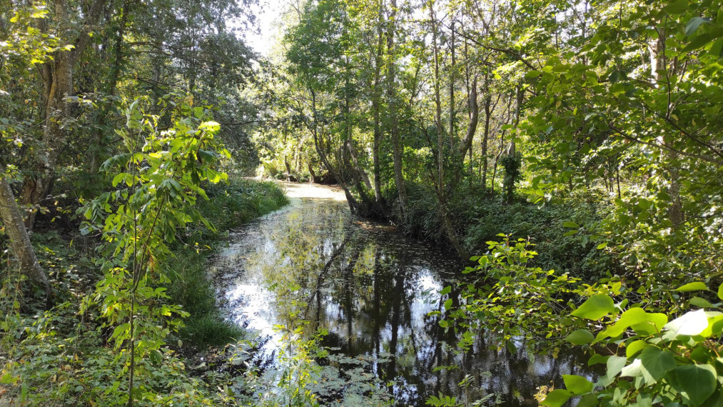 Parduodamos patalpos Panevėžio g., Subačiaus m., Kupiškio r. sav., 55.91 m² ploto 2