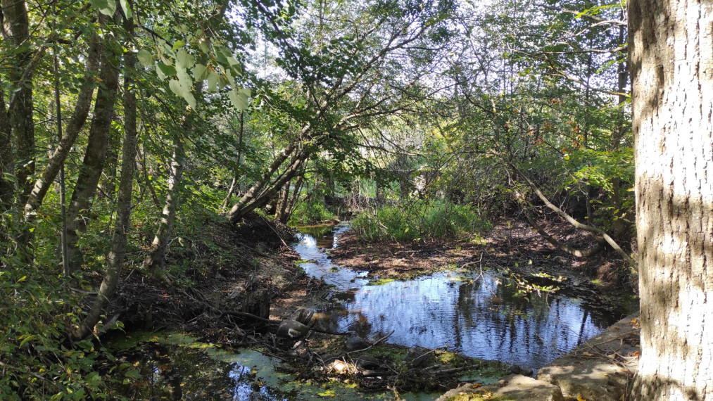 Parduodamos patalpos Panevėžio g., Subačiaus m., Kupiškio r. sav., 55.91 m² ploto 13