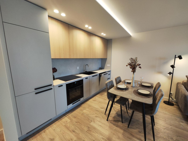 Parduodamas butas Daugėliškio g., Šnipiškės, Vilniaus m., Vilniaus m. sav., 36.00 m² ploto 2 kambariai 5