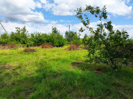 Parduodamas kitos paskirties sklypas Užvingių g., Vaišvydava, Kauno m., Kauno m. sav., 6 a ploto 12