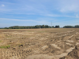 Parduodamas  sklypas Šakinių k., Klaipėdos r. sav., 13 a ploto 8