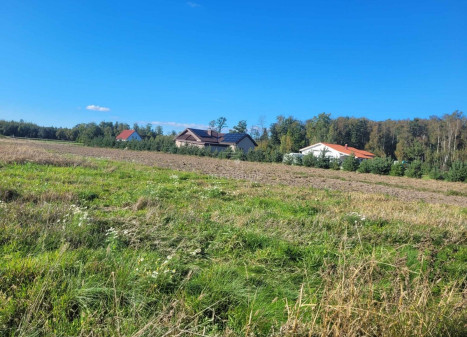 Parduodamas  sklypas Sarčių k., Klaipėdos r. sav., 147 a ploto