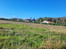 Parduodamas  sklypas Sarčių k., Klaipėdos r. sav., 147 a ploto 1