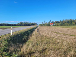 Parduodamas  sklypas Sarčių k., Klaipėdos r. sav., 147 a ploto 7