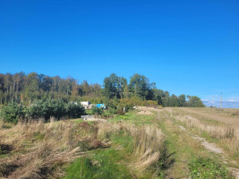 Parduodamas  sklypas Sarčių k., Klaipėdos r. sav., 147 a ploto 8