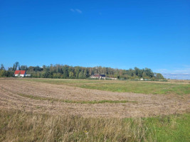Parduodamas  sklypas Sarčių k., Klaipėdos r. sav., 147 a ploto 10