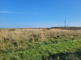 Parduodamas  sklypas Jakų k., Klaipėdos r. sav., 236 a ploto 6