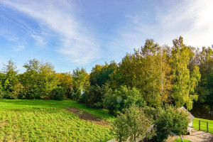 Parduodamas namas Senamiesčio g., Centras, Panevėžio m., Panevėžio m. sav., 133.02 m2 ploto, 3 aukštai 25