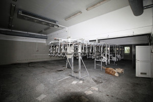 Nuomojamos gamybinės patalpos Paupio g., Leitgirių k., Šilutės r. sav., 2619.3 m2 ploto 13