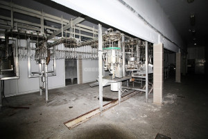 Nuomojamos gamybinės patalpos Paupio g., Leitgirių k., Šilutės r. sav., 2619.3 m2 ploto 14