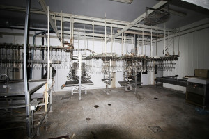 Nuomojamos gamybinės patalpos Paupio g., Leitgirių k., Šilutės r. sav., 2619.3 m2 ploto 15