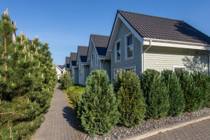 Nuomojamas butas Molo g., Šventoji, Palangos m., Palangos m. sav., 65.00 m² ploto 3 kambariai 22