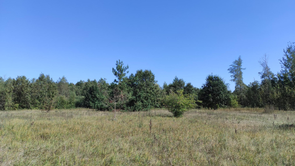 Parduodamas sklypas Paviešinčių k., Kupiškio r. sav., 12.00 a ploto 1